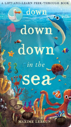 Down Down Down in the Sea: A lift-and-learn peek-through book