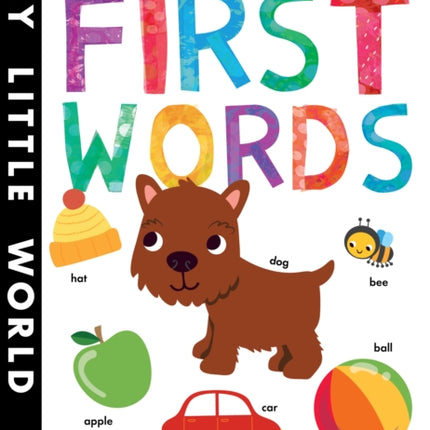 Touch-and-feel First Words: A Fun-filled Book of