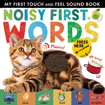 Noisy First Words: My First Touch and Feel Sound Book