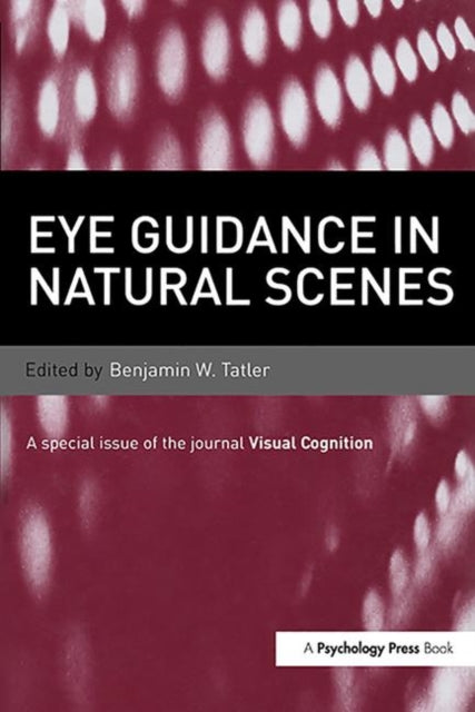 Eye Guidance in Natural Scenes: A Special Issue of Visual Cognition