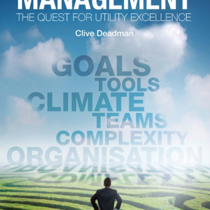Strategic Asset Management: The quest for utility excellence