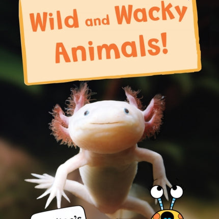 Wild and Wacky Animals: (Purple Non-fiction Early Reader)