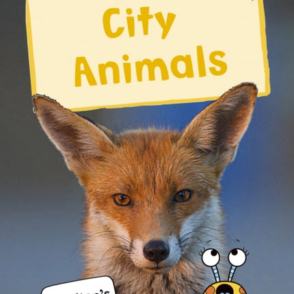 City Animals: (Turquoise Non-fiction Early Reader)