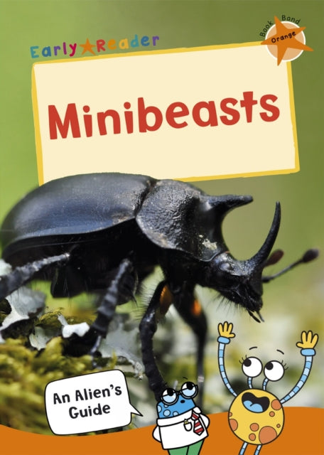 Minibeasts: (Orange Non-fiction Early Reader)