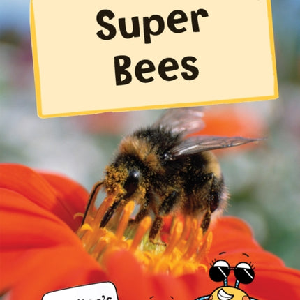 Super Bees: (Gold Non-Fiction Early Reader)