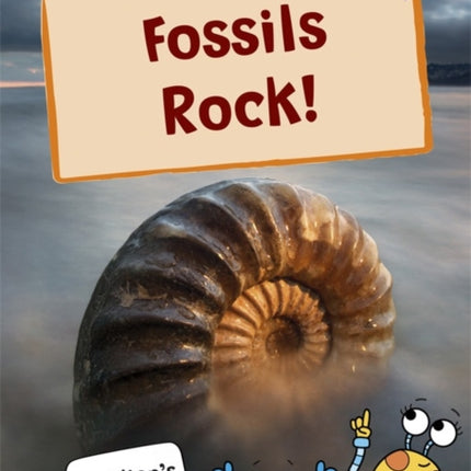 Fossils Rock!: (Purple Non-Fiction Early Reader)