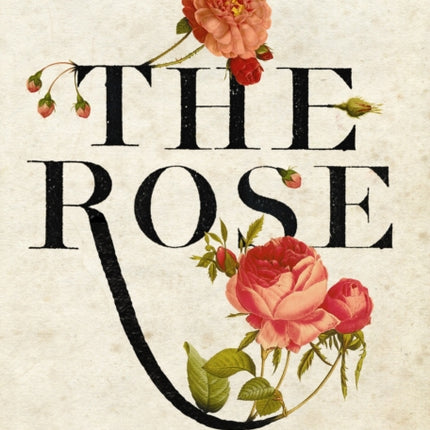 The Rose