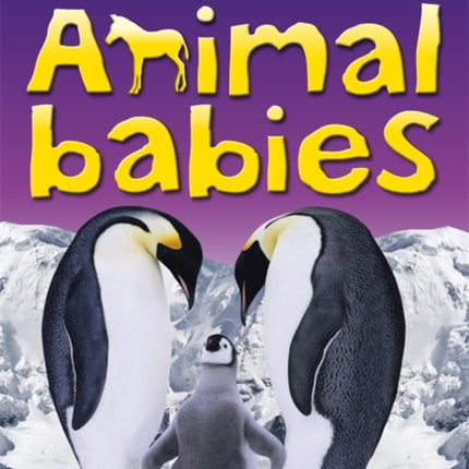 My First Book of Animal Babies