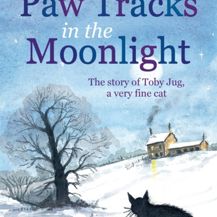 Paw Tracks in the Moonlight