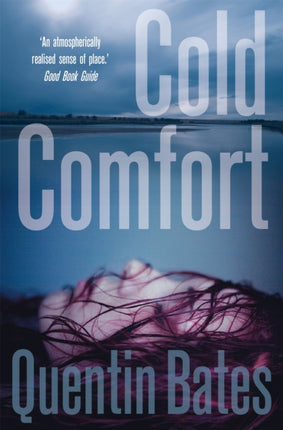 Cold Comfort: A chilling and atmospheric crime thriller full of twists