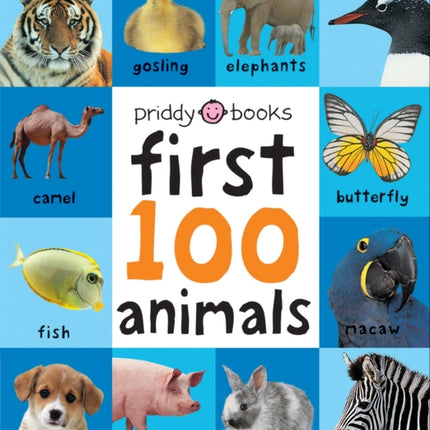 Animals: First 100 Soft To Touch