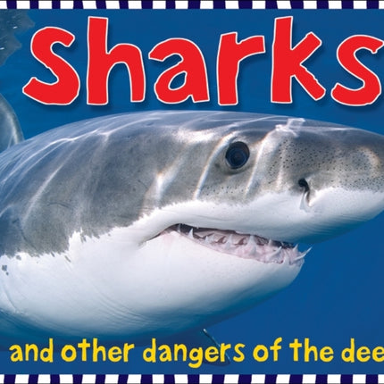 Sharks: Smart Kids