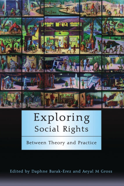 Exploring Social Rights: Between Theory and Practice