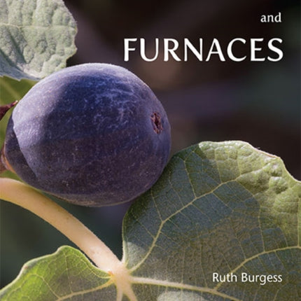 Fig Trees and Furnaces: Biblical stories, scripts and reflections - Esther to Maccabees