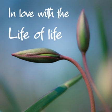 In Love with the Life of Life: Daily readings for Lent and Holy Week