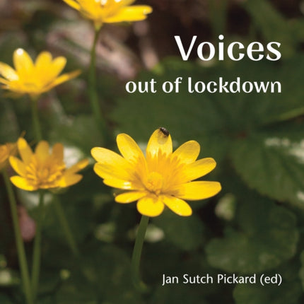 Voices Out of Lockdown