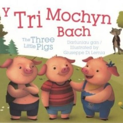 Tri Mochyn Bach, Y / Three Little Pigs, The