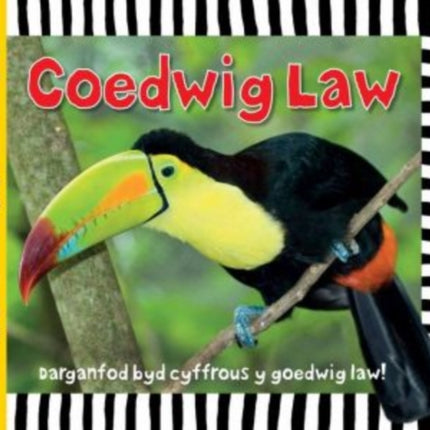 Cyfres Dwlu Dysgu: Coedwig Law