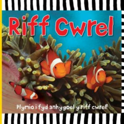 Cyfres Dwlu Dysgu: Riff Cwrel