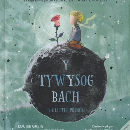 Tywysog Bach, Y / Little Prince, The