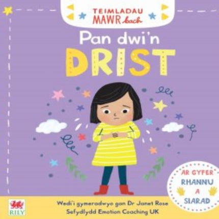 Teimladau Mawr Bach: Pan Dwi'n Drist