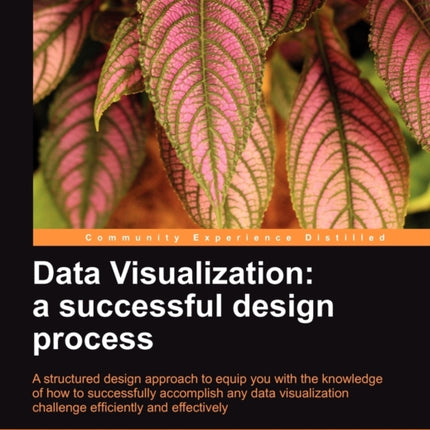 Data Visualization a successful design process