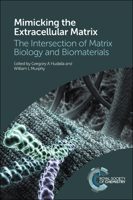 Mimicking the Extracellular Matrix: The Intersection of Matrix Biology and Biomaterials