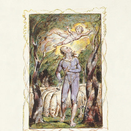 Songs of Innocence and of Experience Slipcase