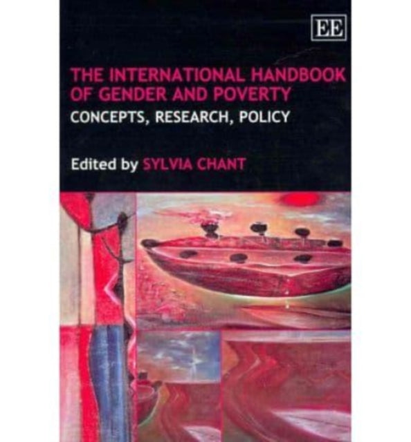 The International Handbook of Gender and Poverty: Concepts, Research, Policy