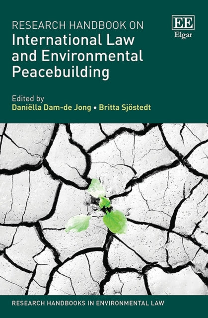 Transnational Corporations and International Law: