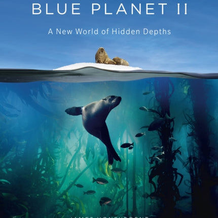 Blue Planet II