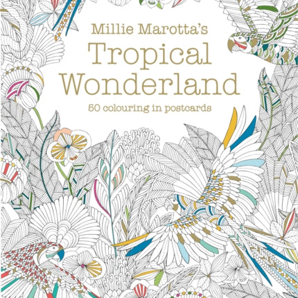 Millie Marotta's Tropical Wonderland Postcard Box: 50 beautiful cards for colouring in