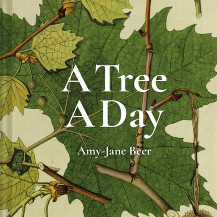 A Tree A Day