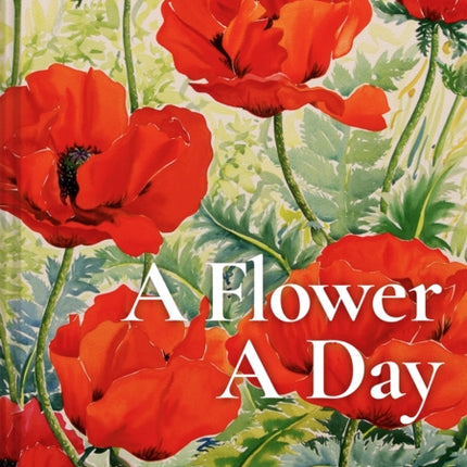 A Flower A Day