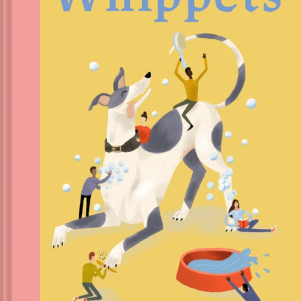 Whippets: What whippets want: in their own words, woofs and wags