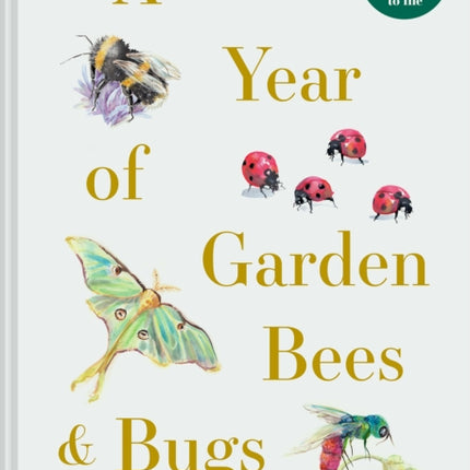 A Year of Garden Bees and Bugs