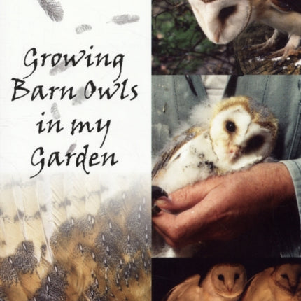 Growing Barn Owls in My Garden