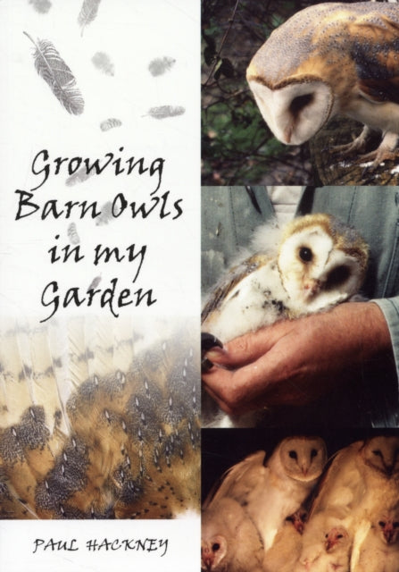 Growing Barn Owls in My Garden