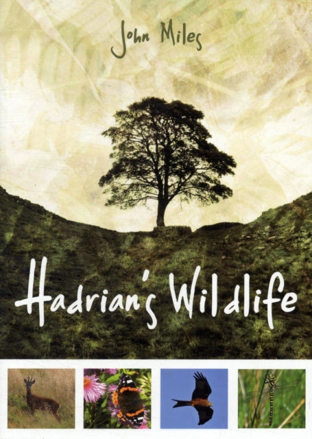 Hadrian's Wildlife