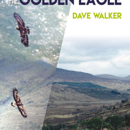 A Fieldworker's Guide to the Golden Eagle