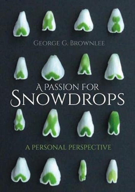 A Passion for Snowdrops: a personal perspective