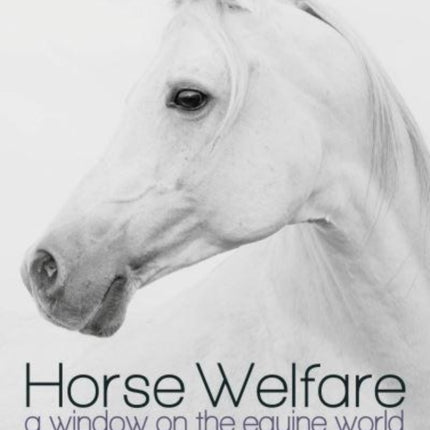 Horse Welfare: A Window on the Equine World