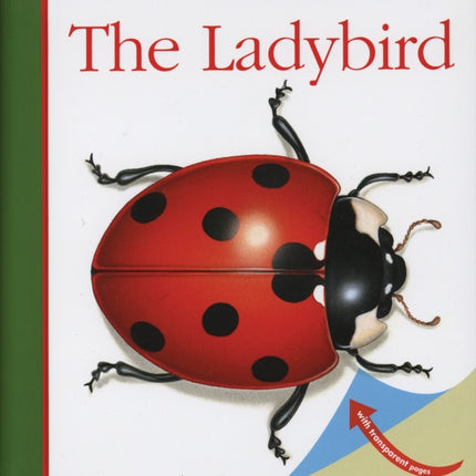 The Ladybird