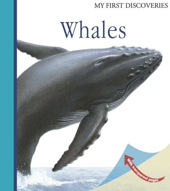 Whales