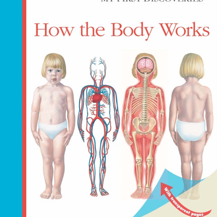 How the Body Works