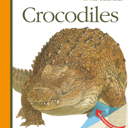 Crocodiles