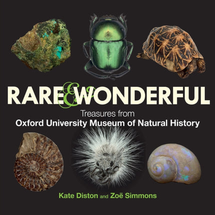 Rare & Wonderful: Treasures from Oxford University Museum of Natural History