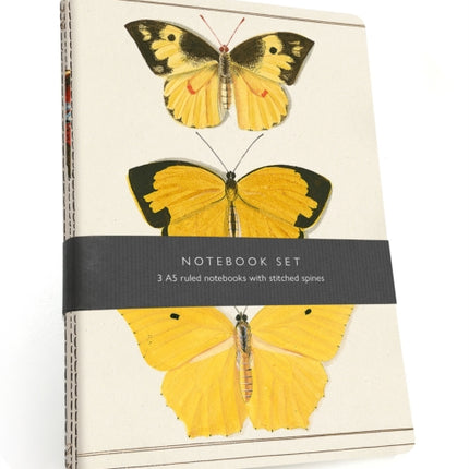 Butterfly Notebook Set: 3 A5 lined notebooks with stitched spines