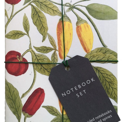 Botanical Art Notebook Set: 3 A5 ruled notebooks with stitched spines