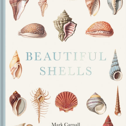 Beautiful Shells